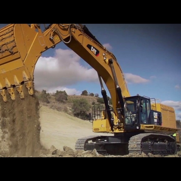 Meet your Posher, Joey - Picture 1 of 1